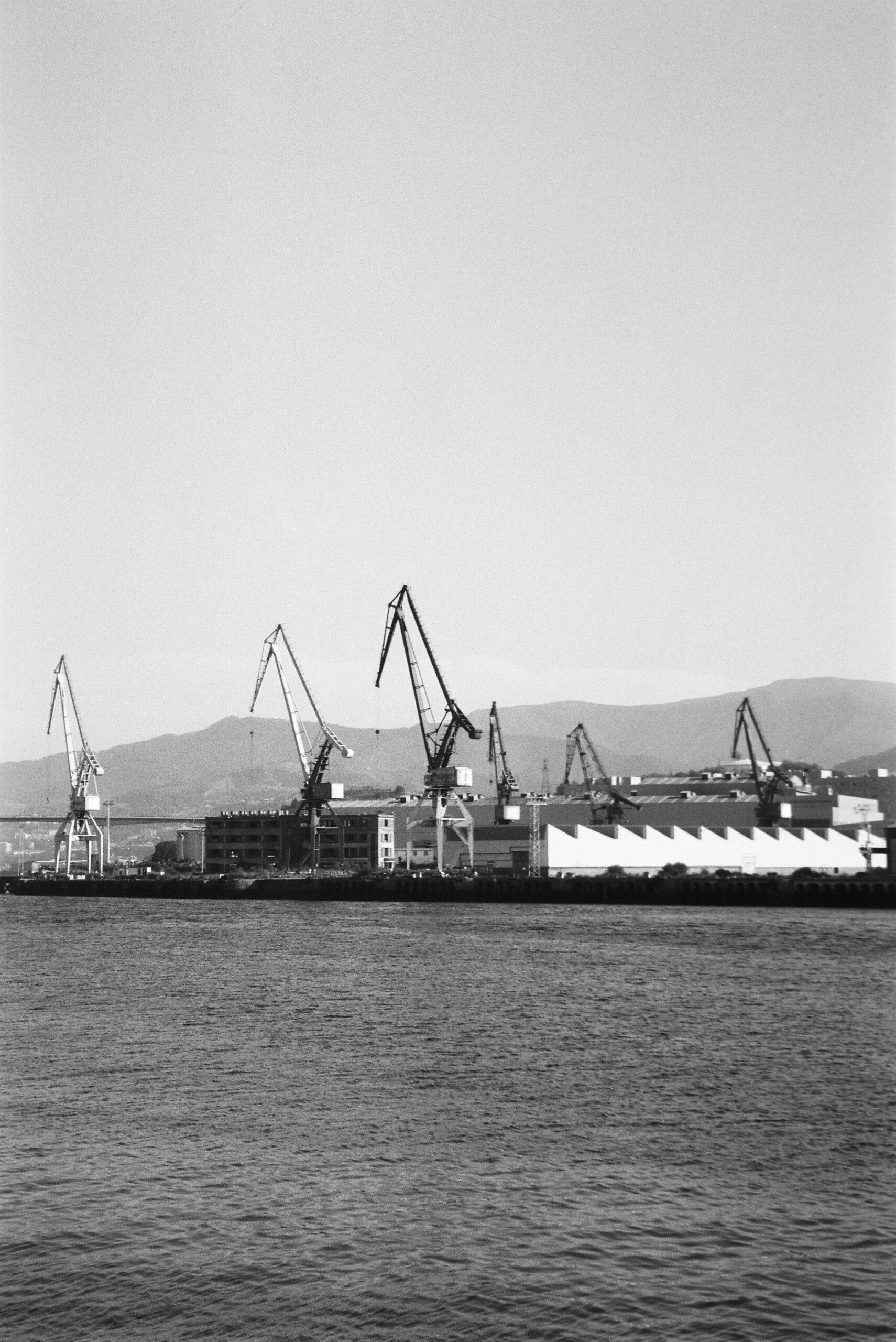 3205 – 2022.09.02 – Maria Besga – Agfa APX 100 -36