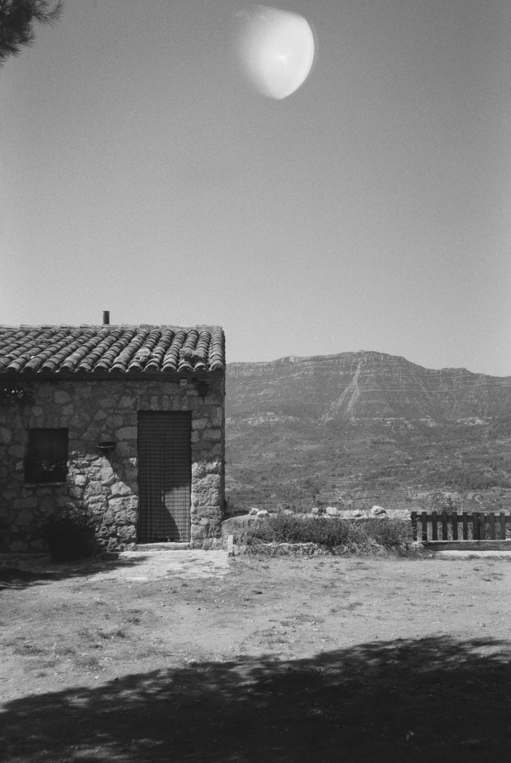 3290 – 2024.6.7 – Maria Besga Labiano – Agfa APX 100 -15