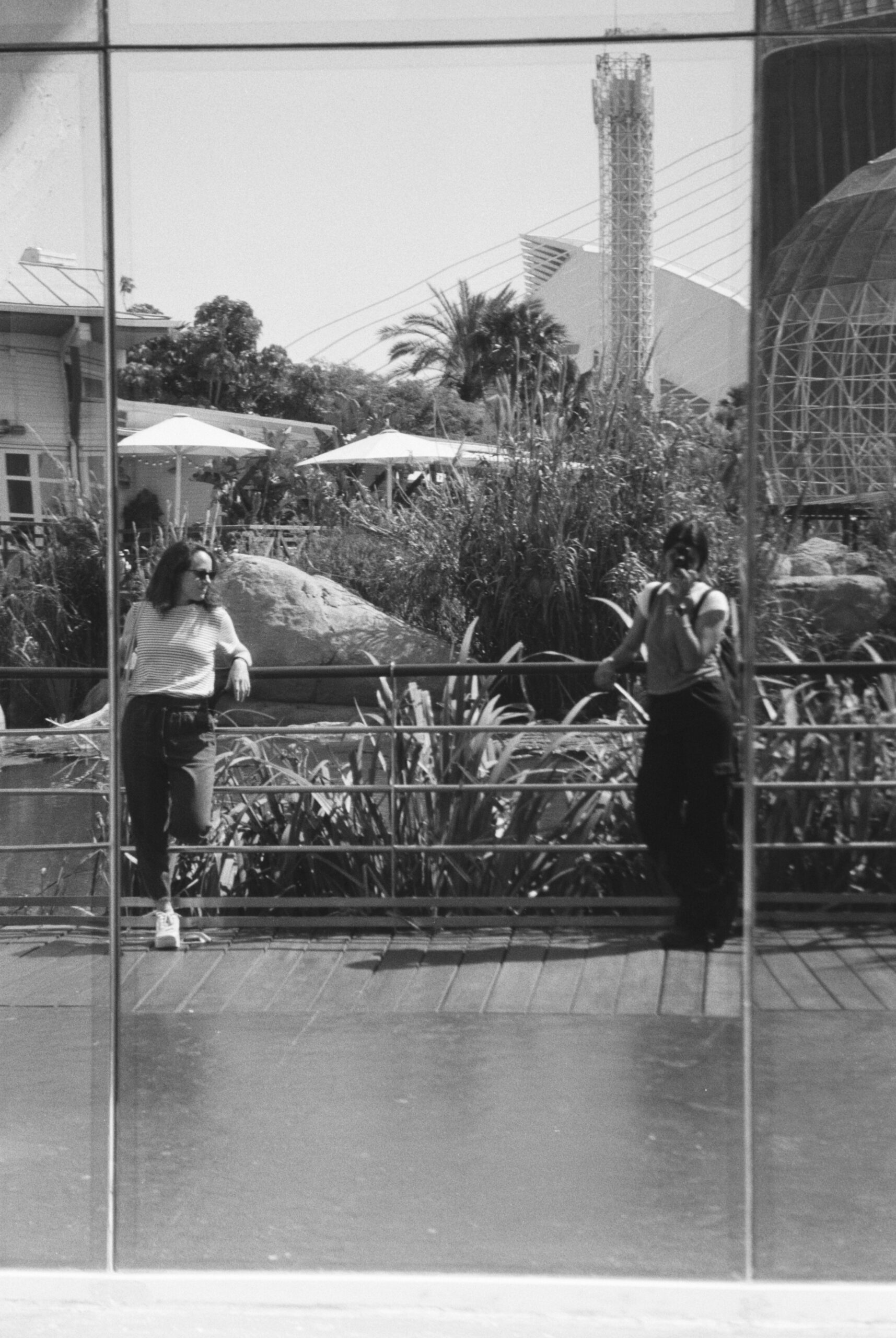 3290 – 2024.6.7 – Maria Besga Labiano – Agfa APX 100 -30