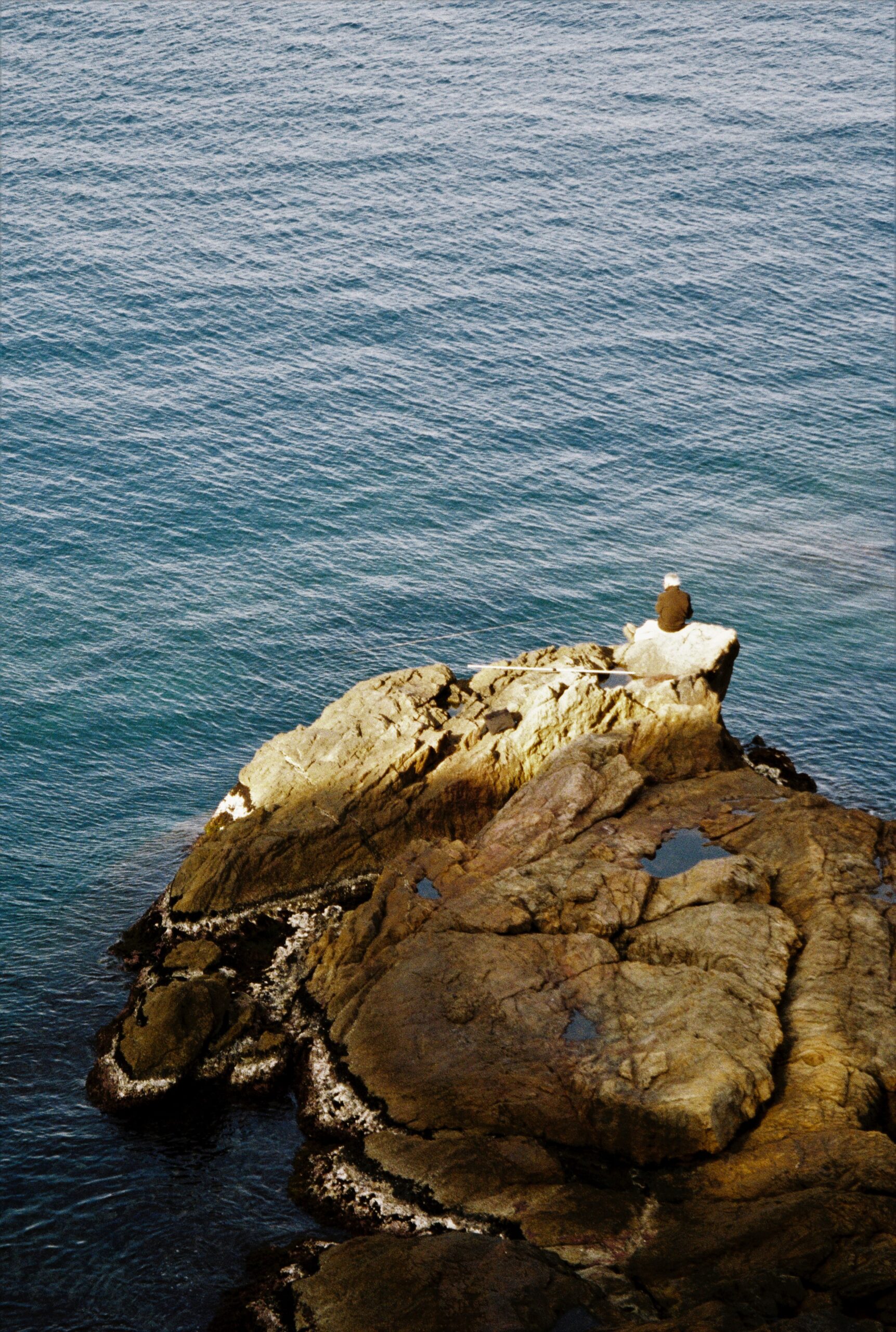 3598 – 2021.04.23 – Blanca Besga – Kodak ColorPlus 200 -10 2