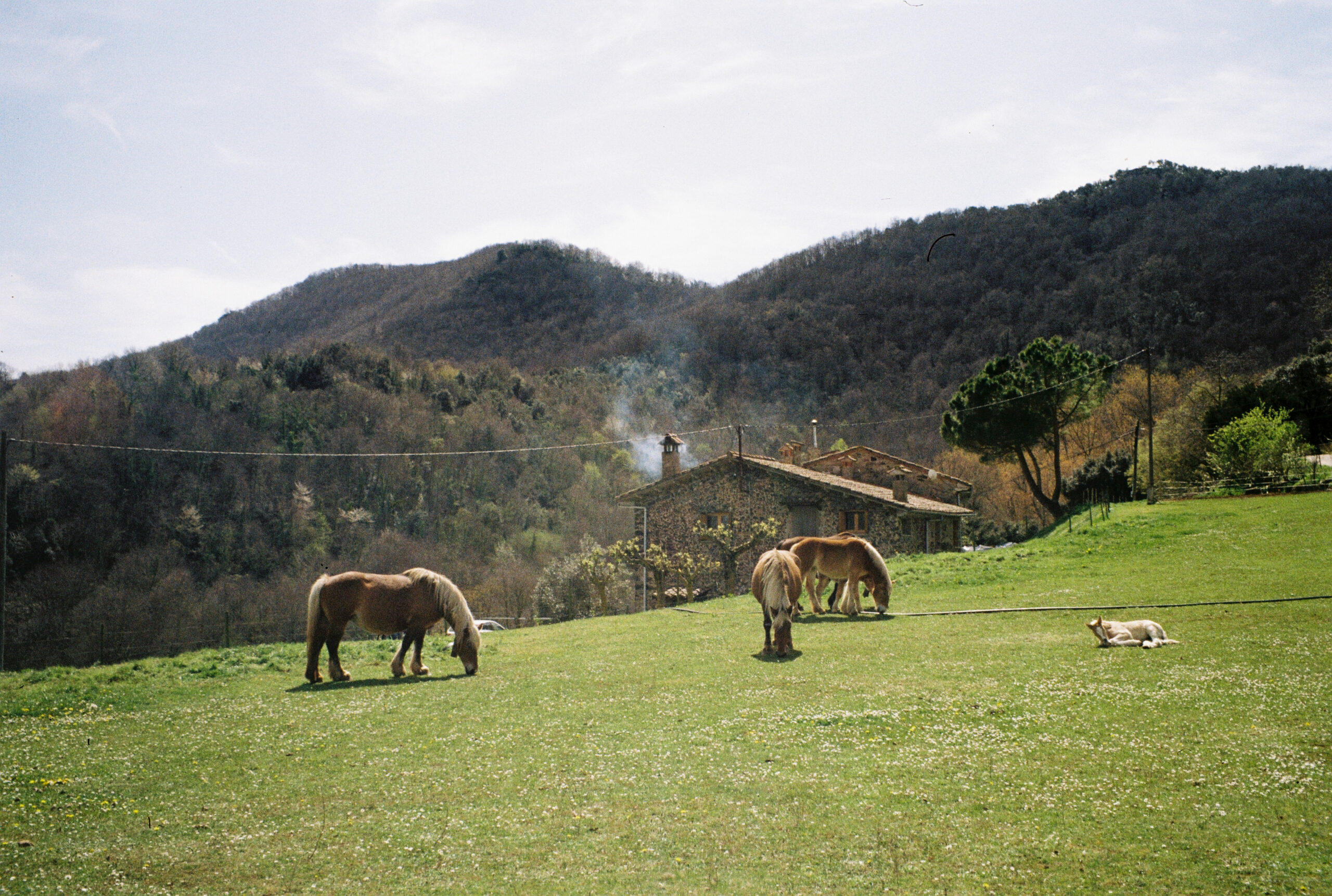 3598 – 2021.04.23 – Blanca Besga – Kodak ColorPlus 200 -22