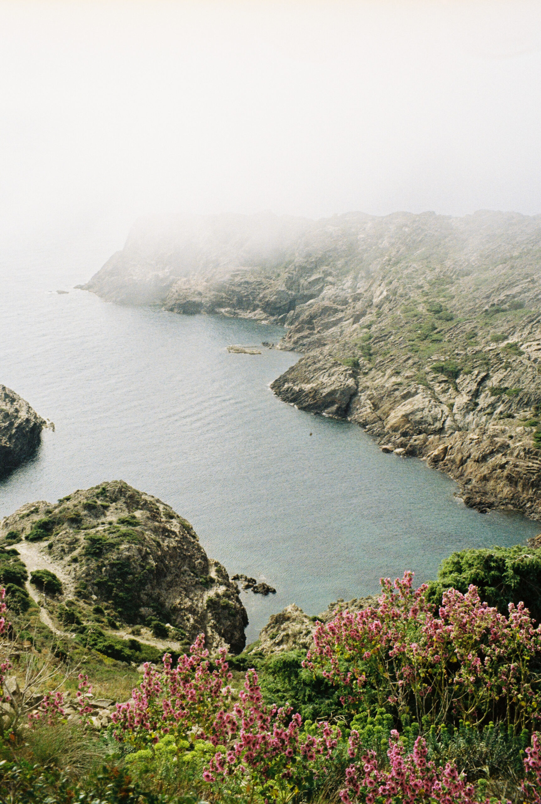 3598 – 2021.04.23 – Blanca Besga – Kodak ColorPlus 200 -38