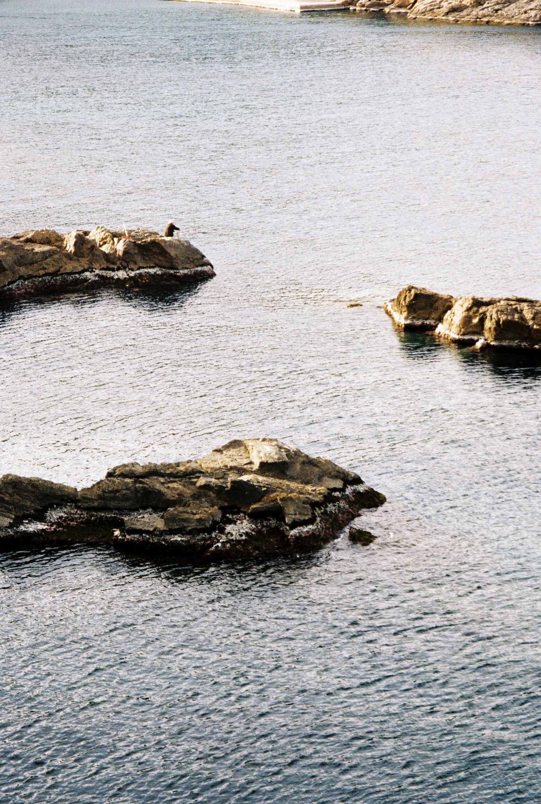 3598 – 2021.04.23 – Blanca Besga – Kodak ColorPlus 200 -6