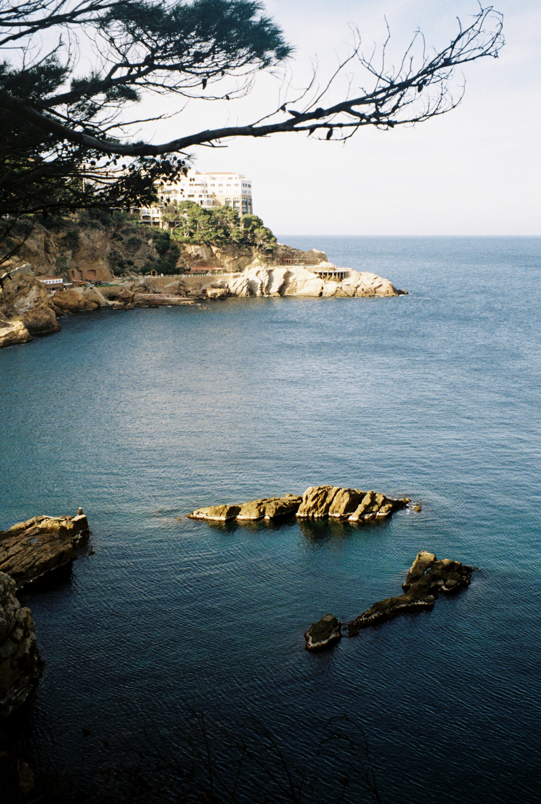 3598 – 2021.04.23 – Blanca Besga – Kodak ColorPlus 200 -9