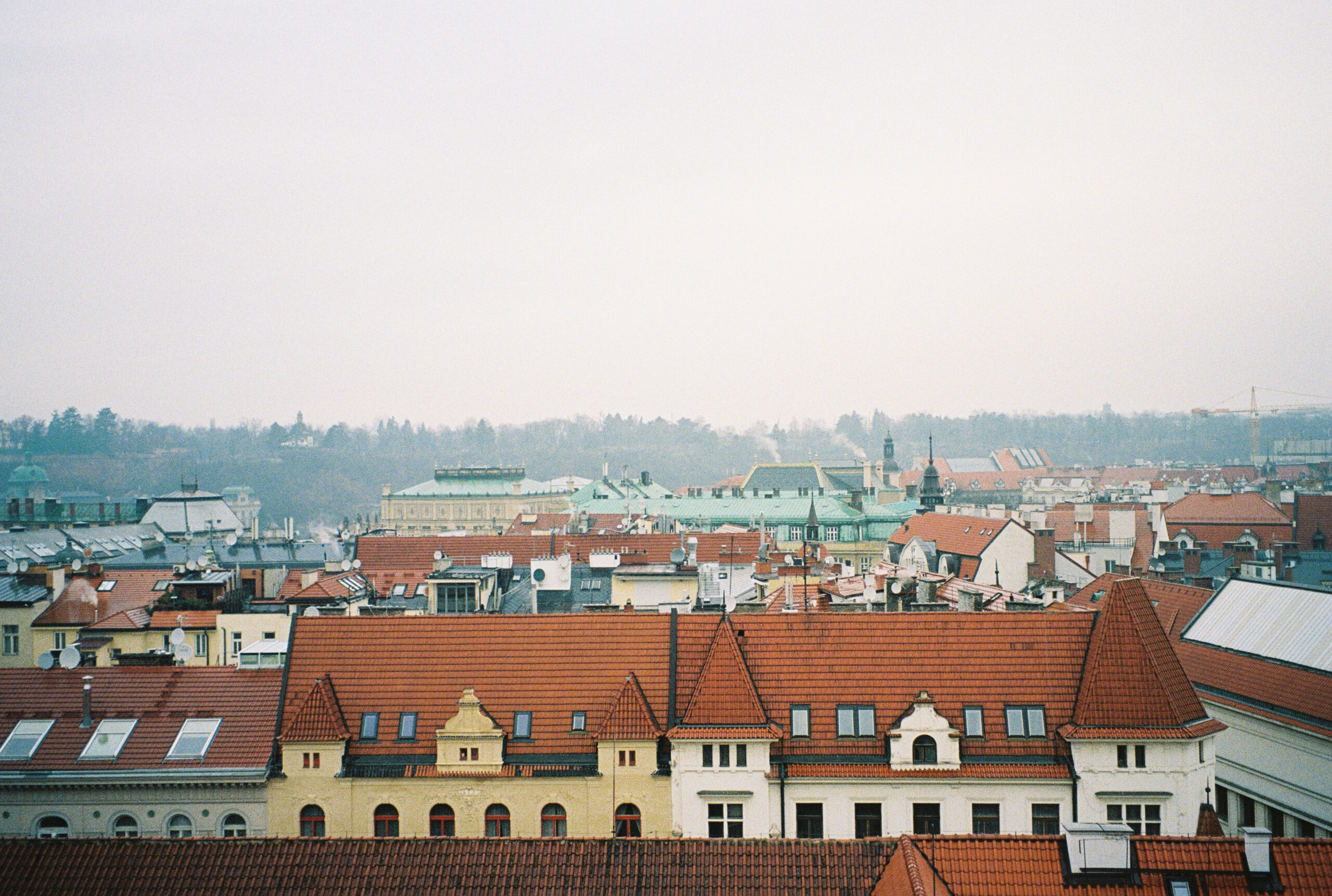 5384 – 2022.01.21 – Maria Besga – Kodak Ultramax 400 -15