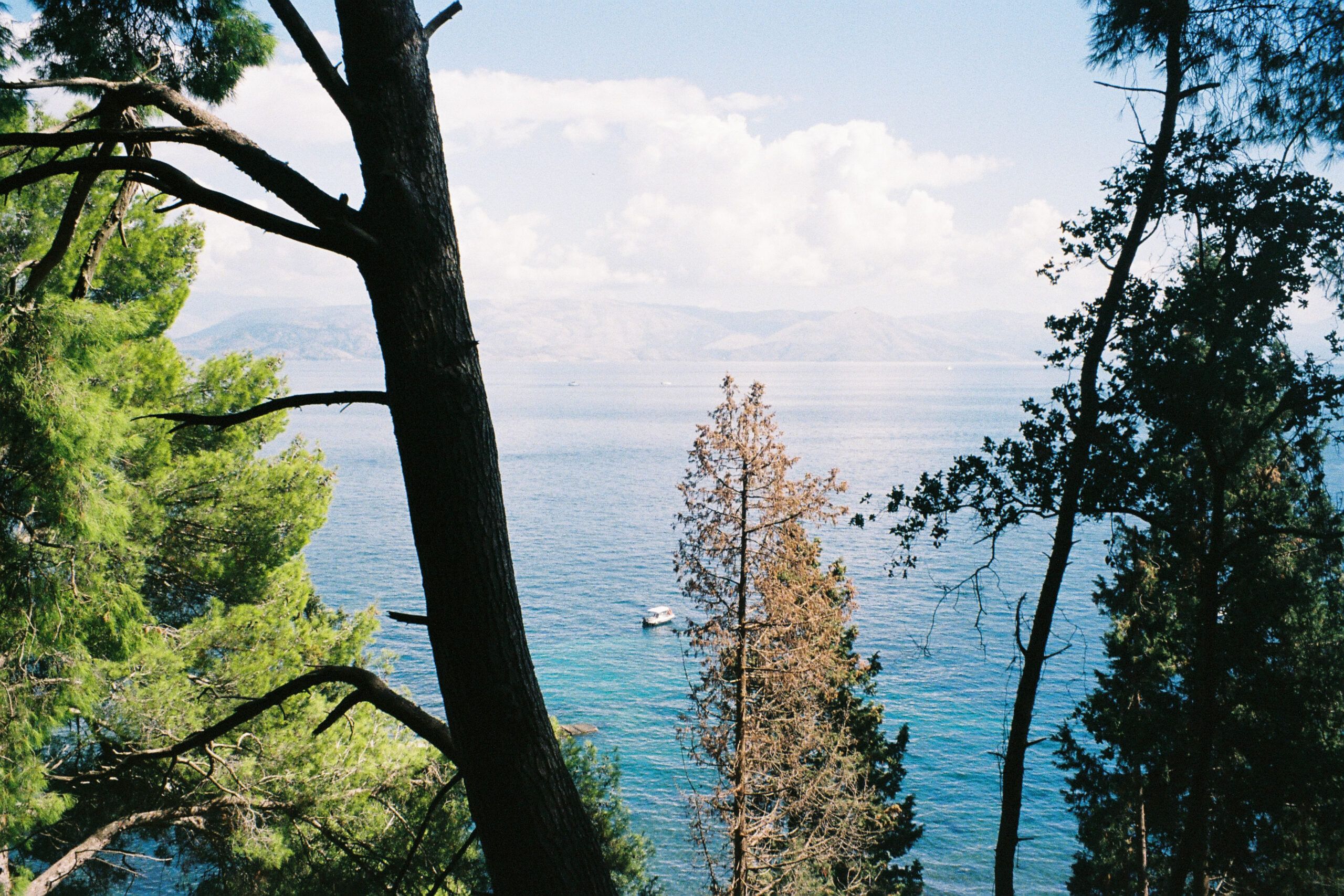 8135 – 2025.1.22 – Maria Besga Labiano – Kodak Ultramax 400-5