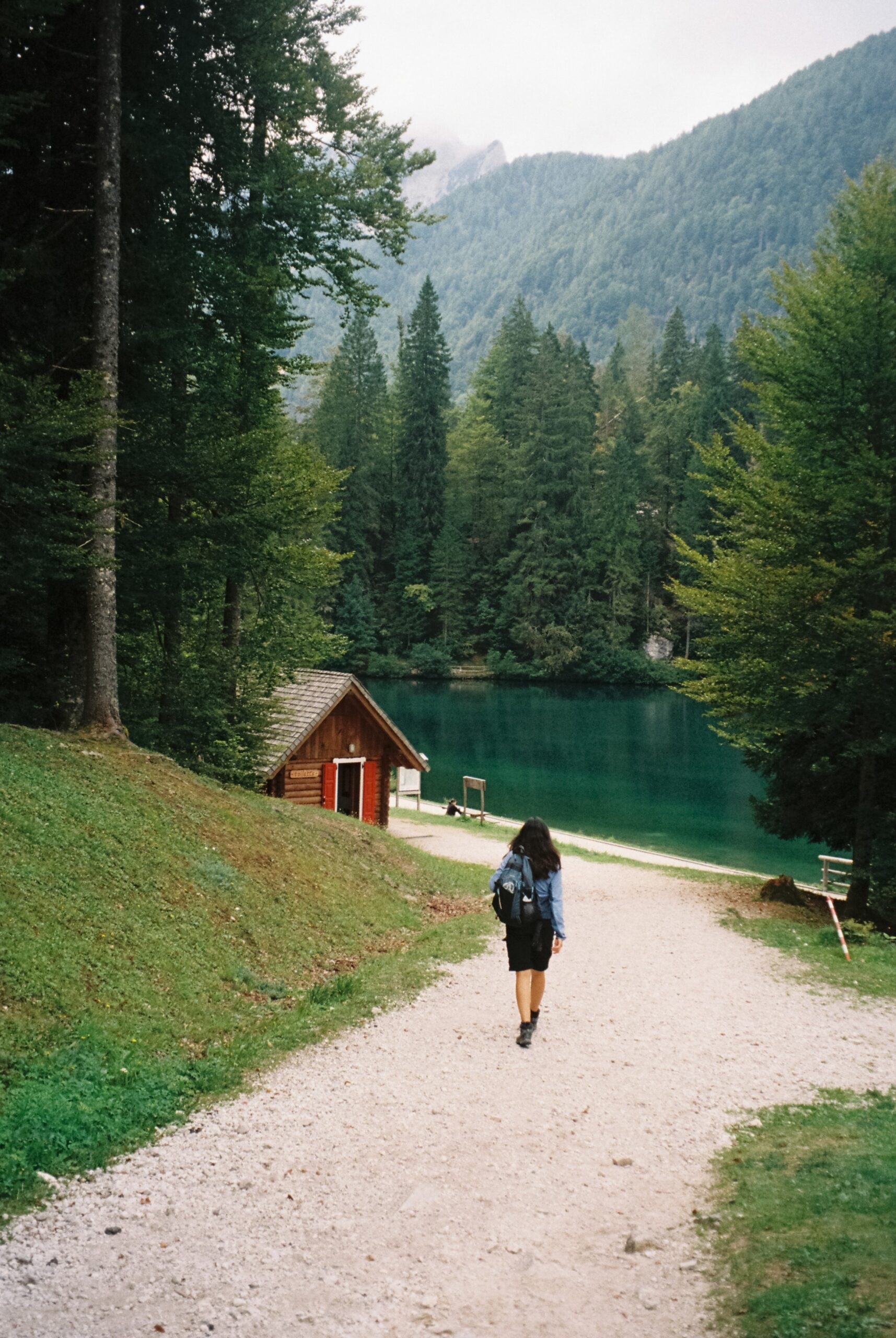 3116 – 2025.09.23 –  – Kodak Ultramax 400 -31