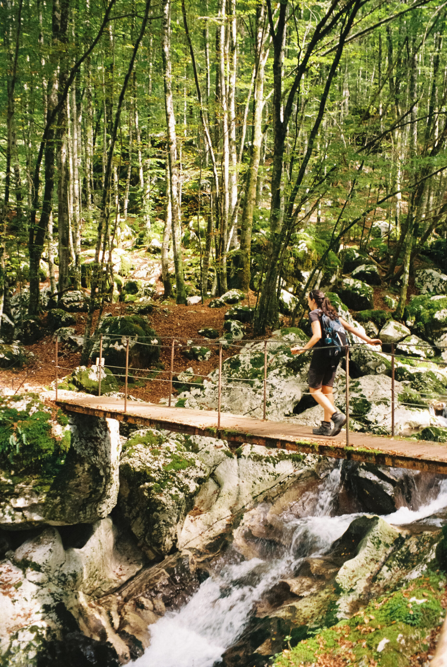 3117 – 2025.09.23 –  – Kodak Ultramax 400 -23