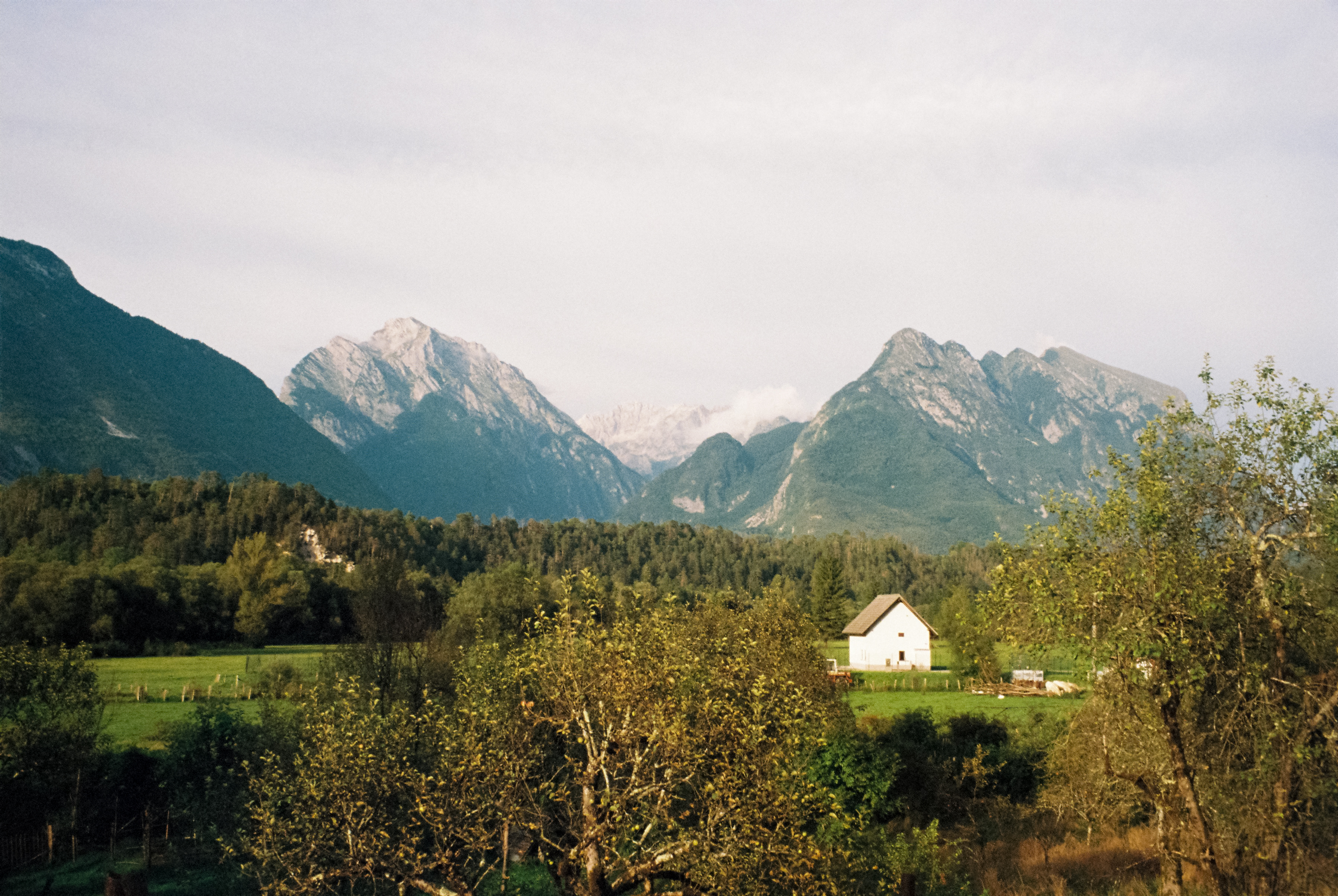 3117 – 2025.09.23 –  – Kodak Ultramax 400 -29