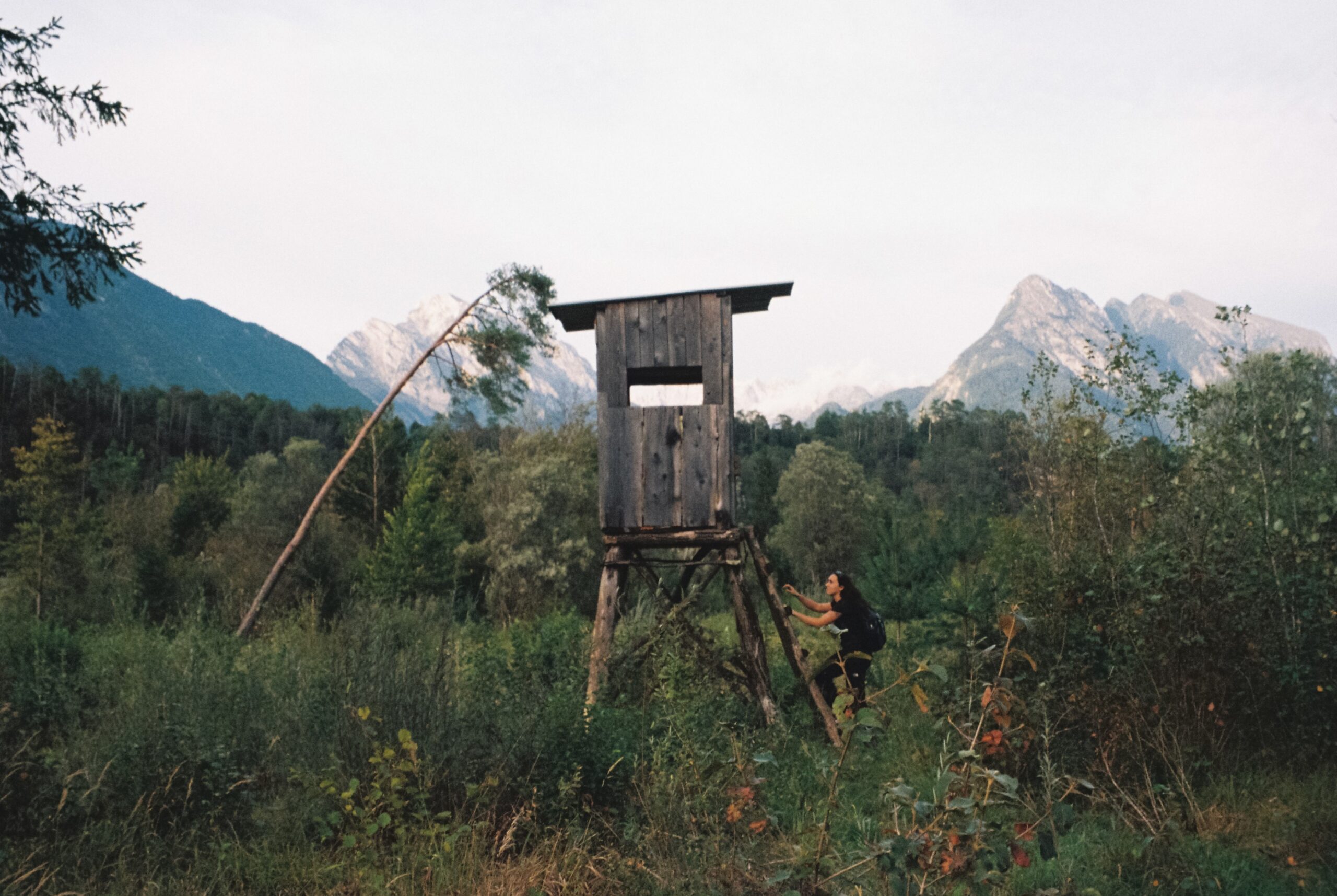 3117 – 2025.09.23 –  – Kodak Ultramax 400 -33