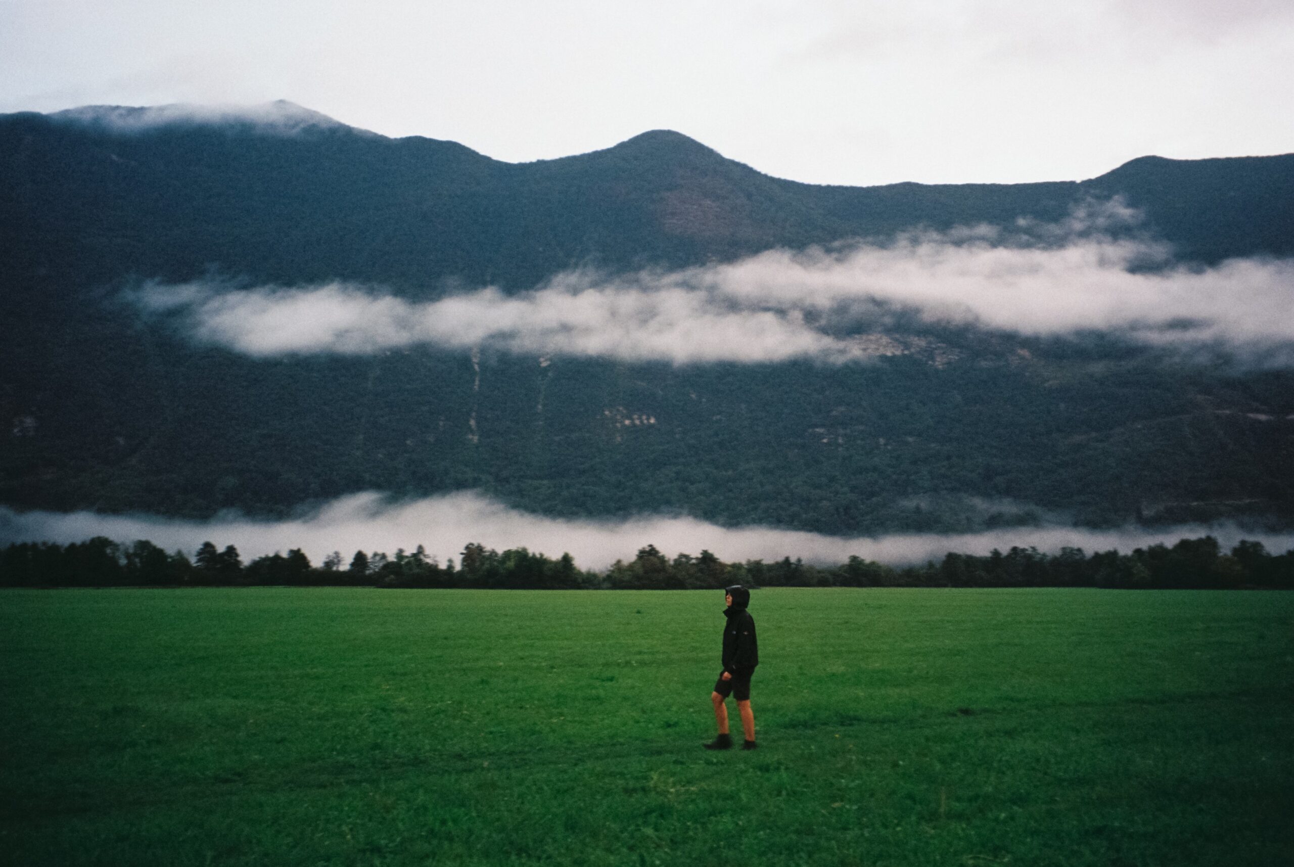 3118 – 2025.09.23 –  – Kodak Ultramax 400 -14